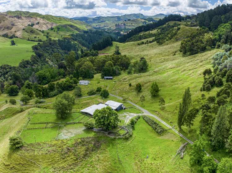 1131 Whakarau Road Te Karaka_17