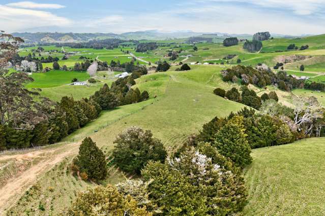 80 Johnson Road Hukerenui_4