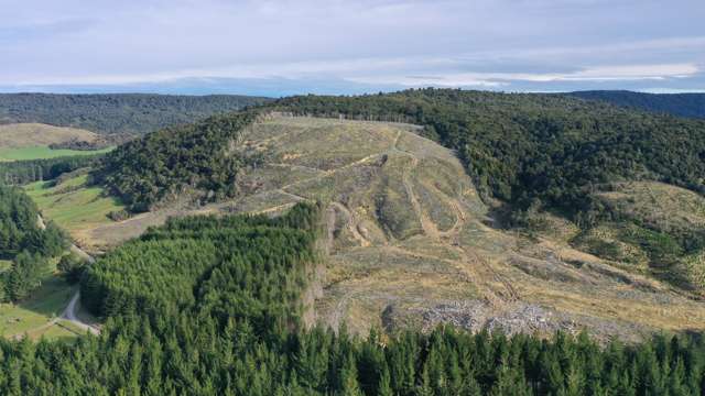 Waipati Road Chaslands_3