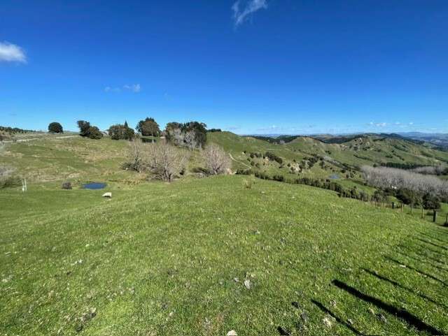 1845 Kanakanaia Road Whatatutu_2