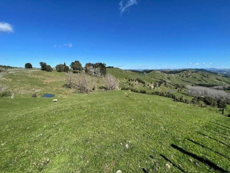1845 Kanakanaia Road Whatatutu_2