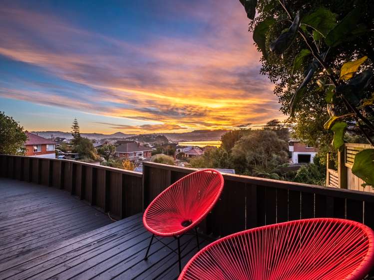 55 Jeffery Street Andersons Bay_18