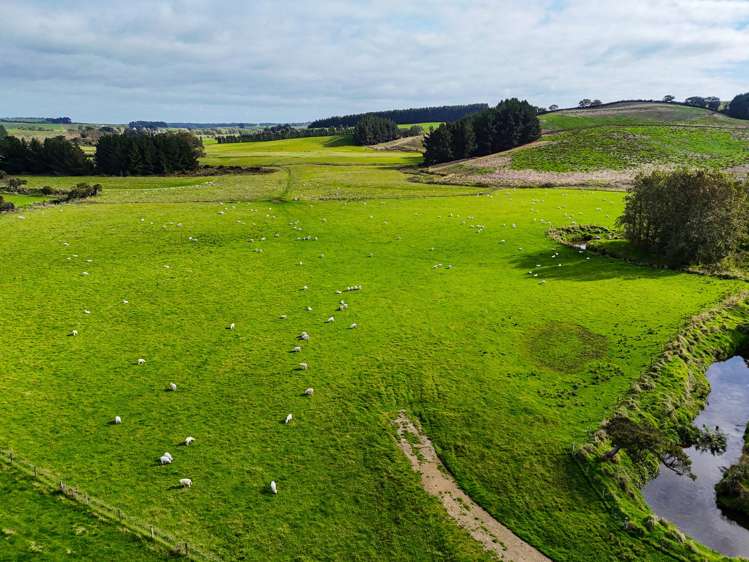 301 Waimahaka Fortification Road Wyndham Surrounds_11