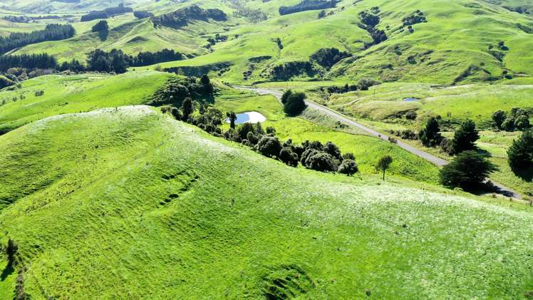 1793 Te Uri Road Rangitikei Surrounds_7