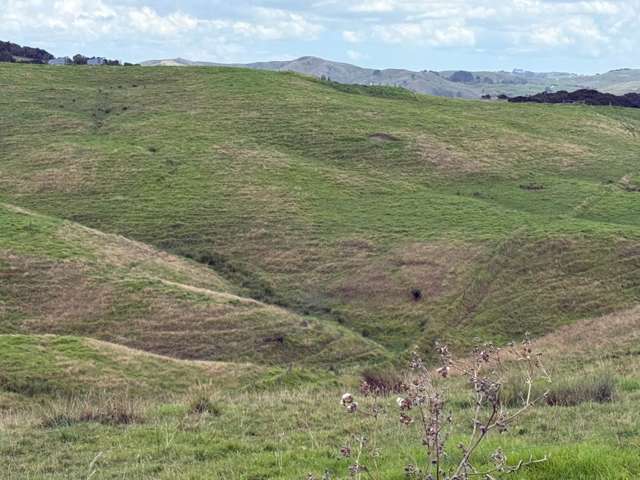 3 Awaroa Creek Rise Kaiwaka_4