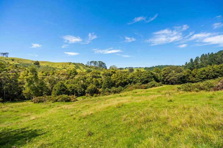 47 Witheford Road Wellsford_19