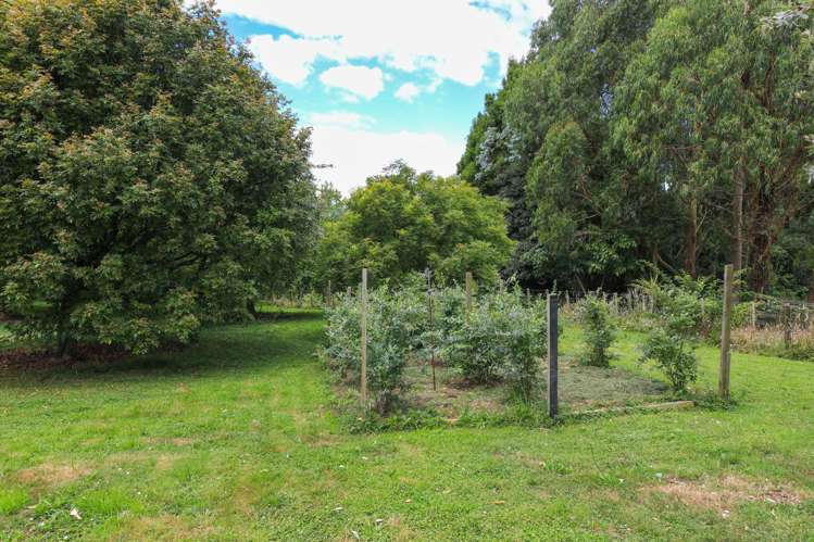 165 Te Tahi Road Pirongia_29