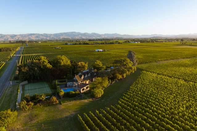 Ready for new owners to reap rewards from vineyard