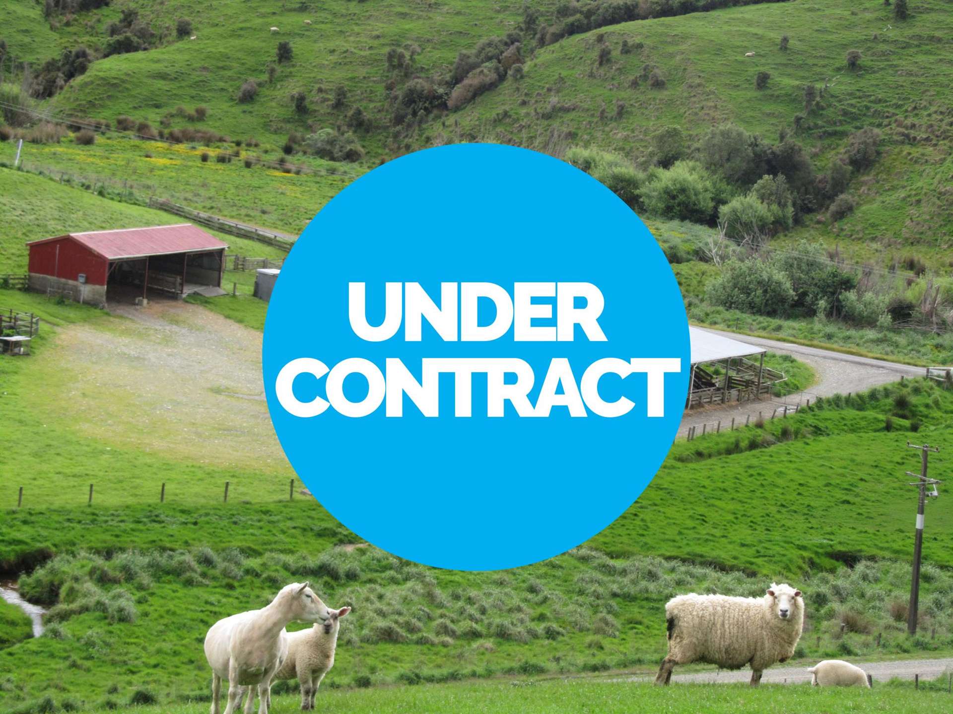 348 Happy Valley Road Tuatapere_0