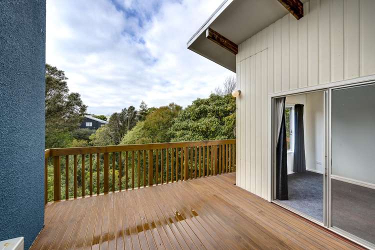 9a Selwyn Road Hospital Hill_15