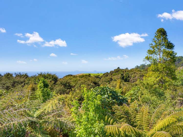 595 Boat Harbour Road Whenuakite_10