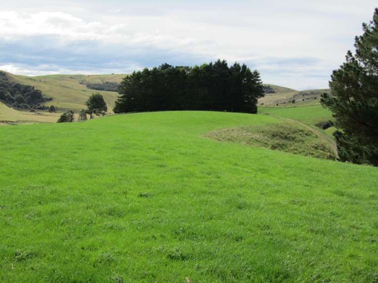 348 Happy Valley Road Tuatapere_15