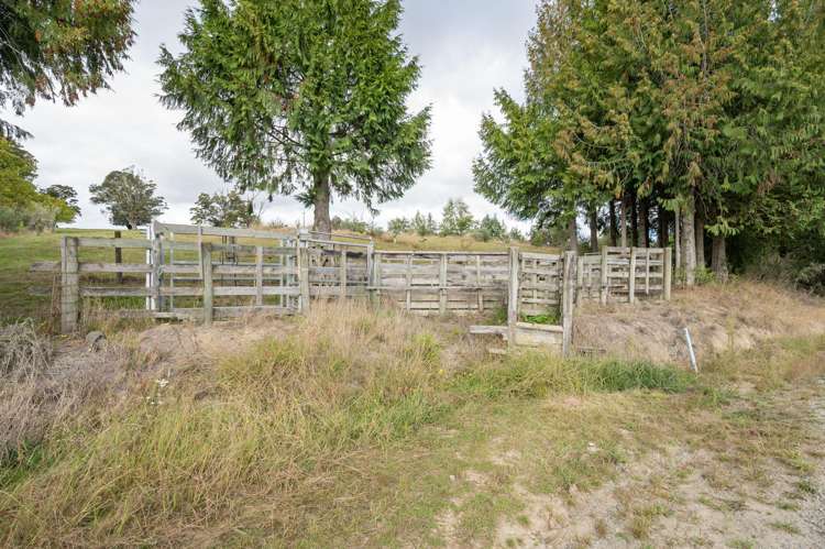 71 Cozens Road Dovedale_19