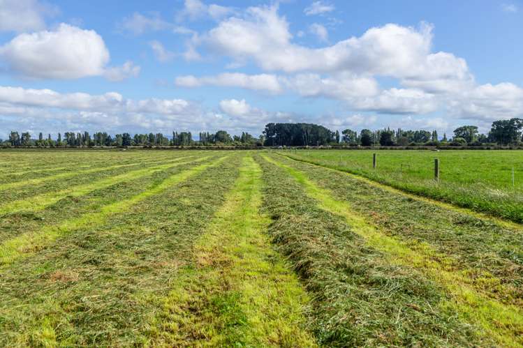 589 Coutts Island Road Coutts Island_22