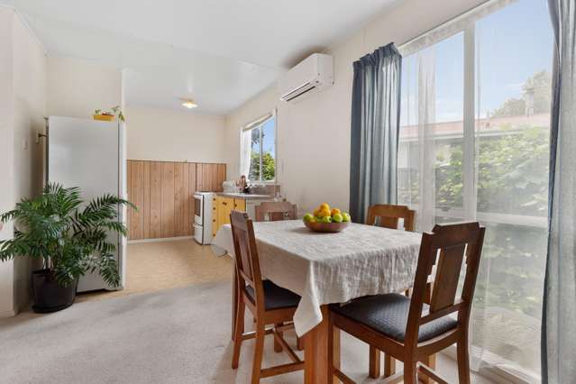 16 Adkin Avenue Levin_1