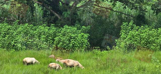 Address withheld Labasa_1