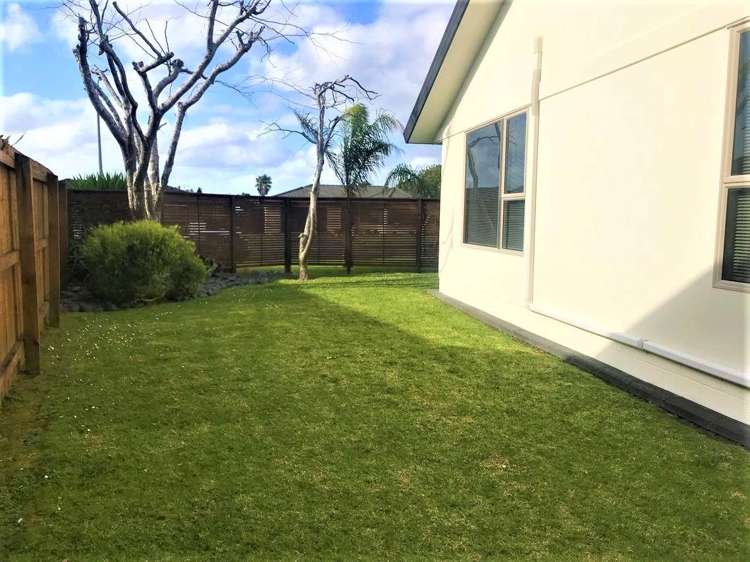 4 Lothian Brae Wattle Downs_18