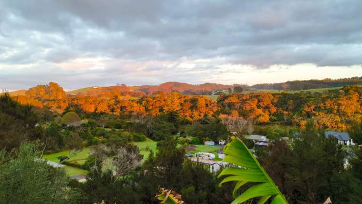 93a Yorke Road Haruru_31