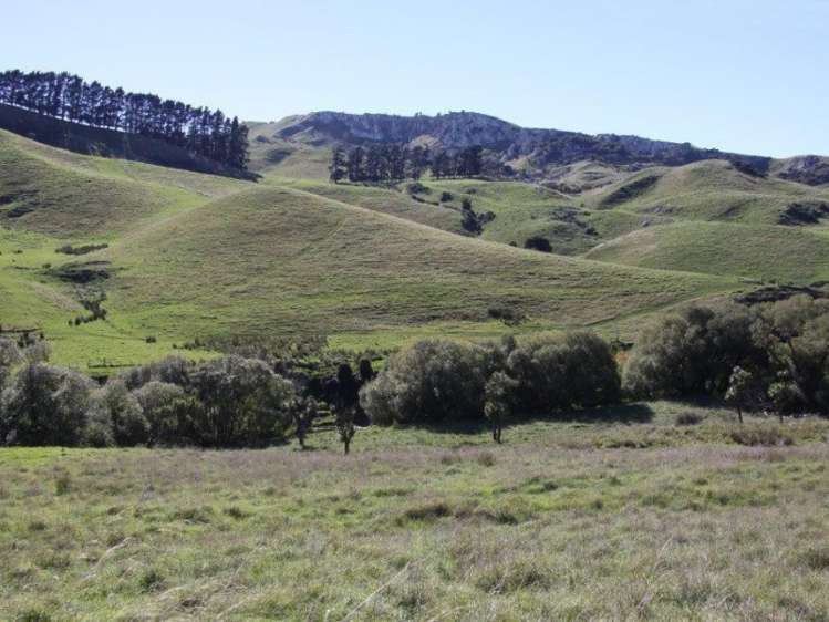 1007 Motunau Beach Road Motunau_2