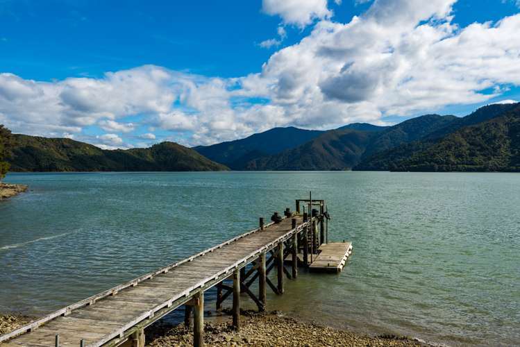 686 Moetapu Bay Road Anakiwa and Surrounds_13