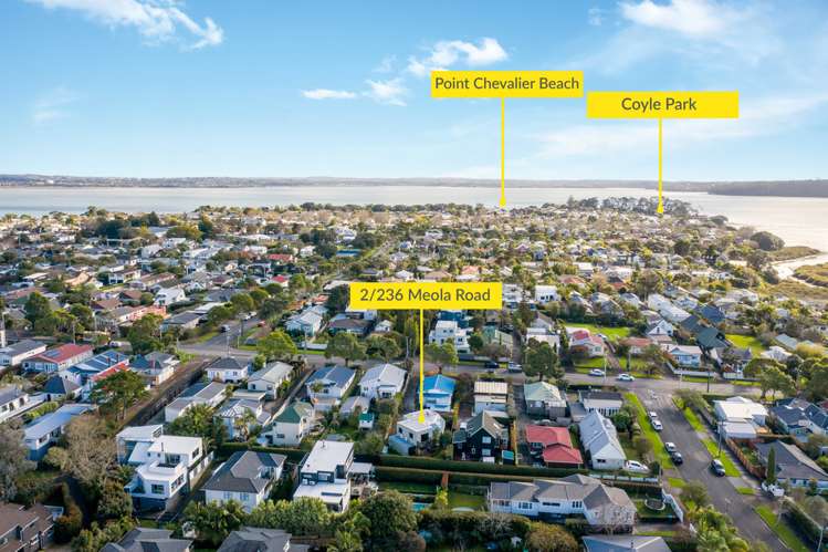 2/236 Meola Road Point Chevalier_17