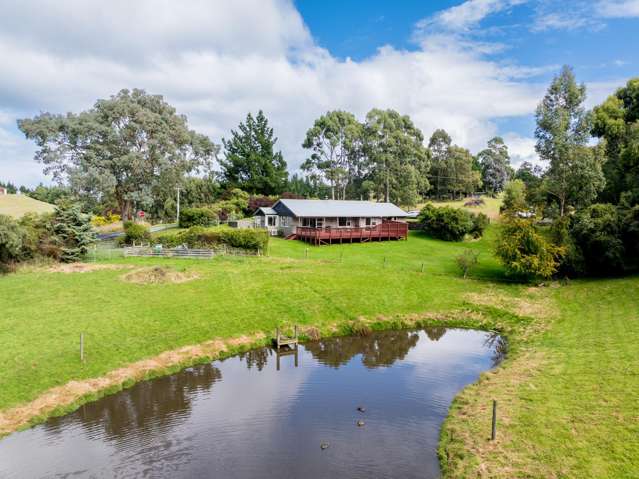 Sunny lifestyle close to the beach