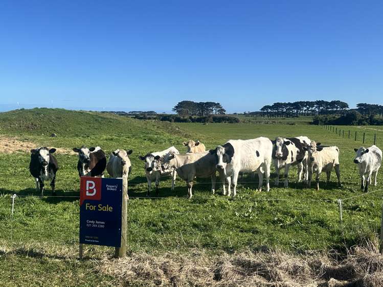 2/189 Namu Road Opunake_6