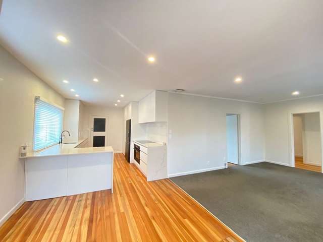 13 Ballarat Street Ellerslie_3