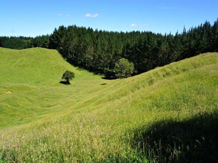 1788 Manawahe Road Manawahe_17