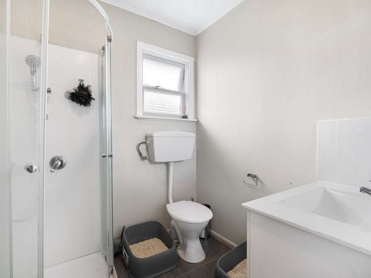 127 College Road Edgecumbe_28