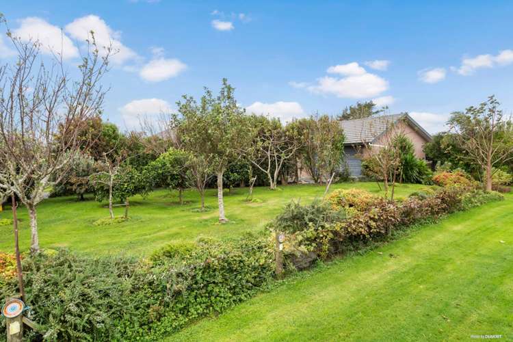 767c Kaiwaka-Mangawhai Road Kaiwaka_8