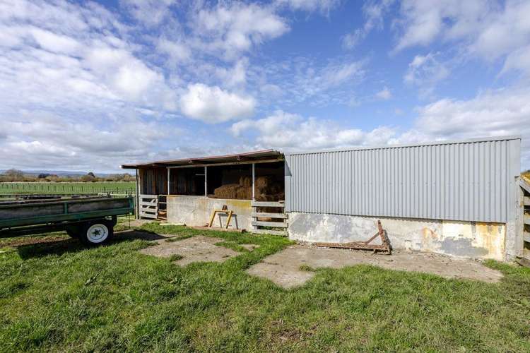 55 Troup Road Woodville_9