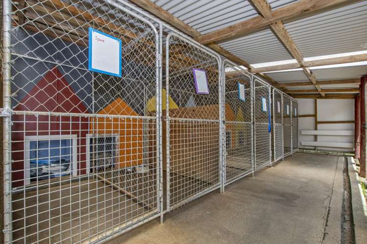 770 State Highway 1 Kauri_5
