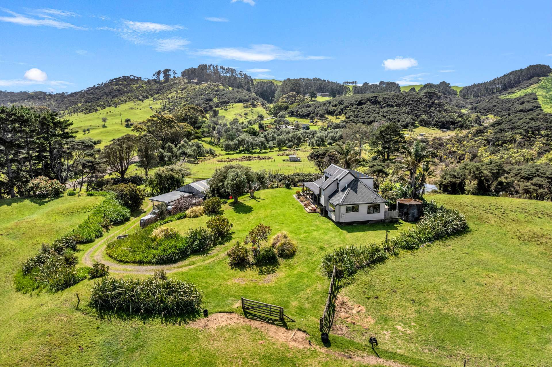 487 Wilson Road South Head Helensville_0