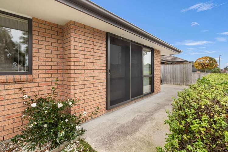 49 Cuba Street Takaro_24