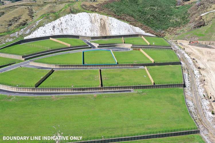 26 Carex Rise Cracroft_5