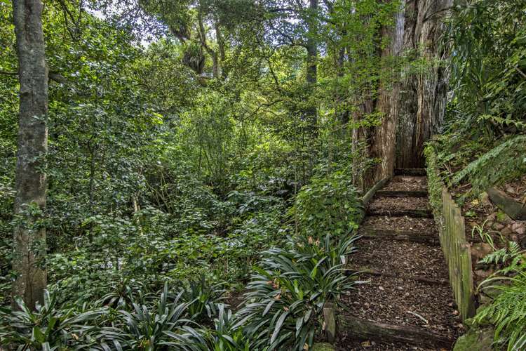 43 Kotare Crescent Maunu_33