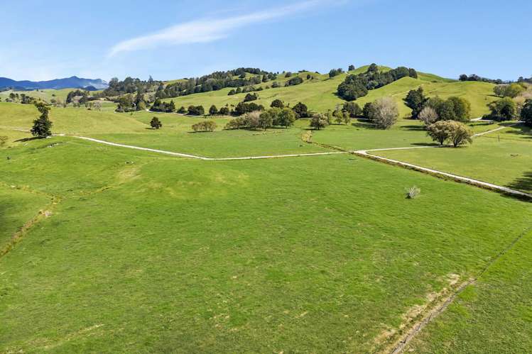 282B Callaghan Road Maromaku_40