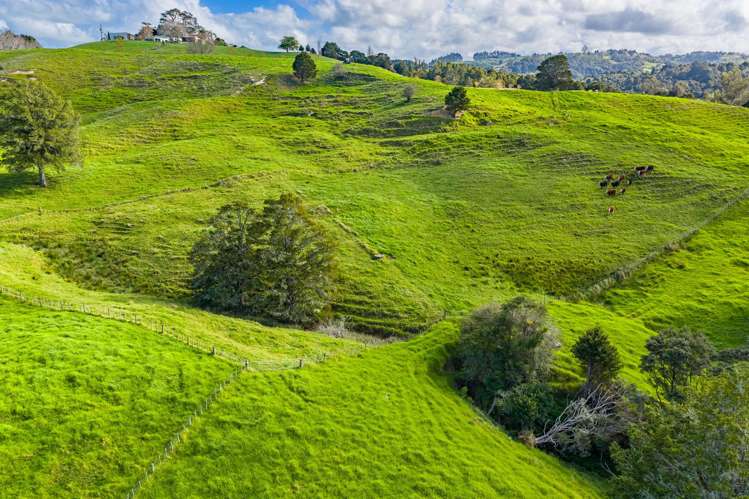 118 Paparoa Station Road Paparoa_13