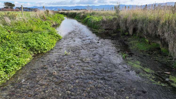 Te Maire Road Featherston_4