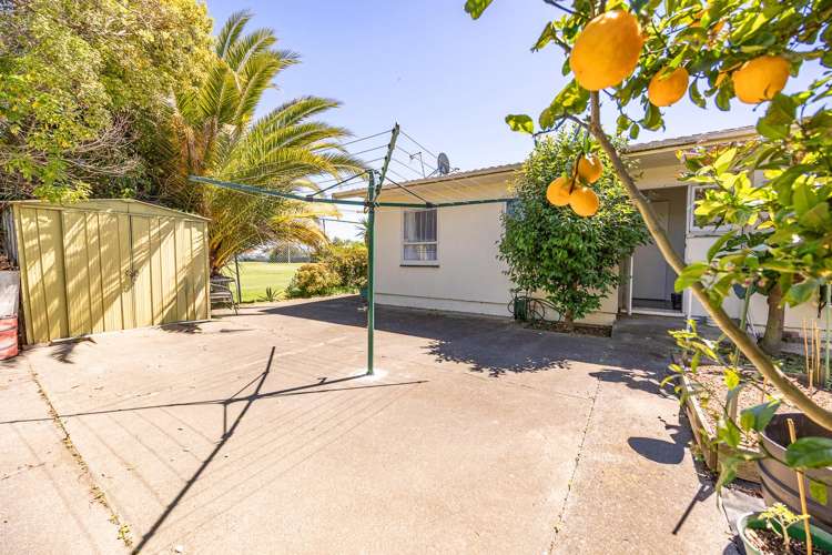 30B Alpers Terrace Marewa_11