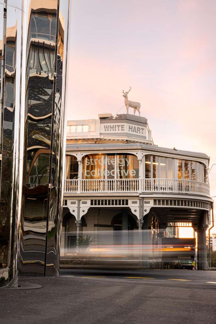 b/47 Queen Street New Plymouth_15