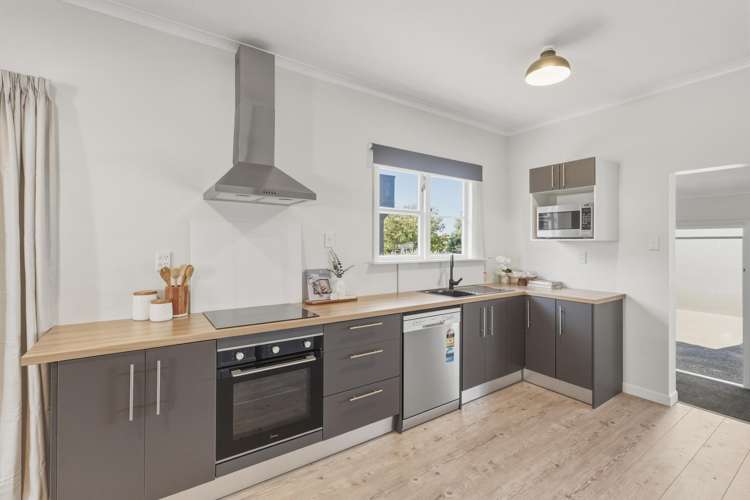 77 Fitzherbert Avenue_1