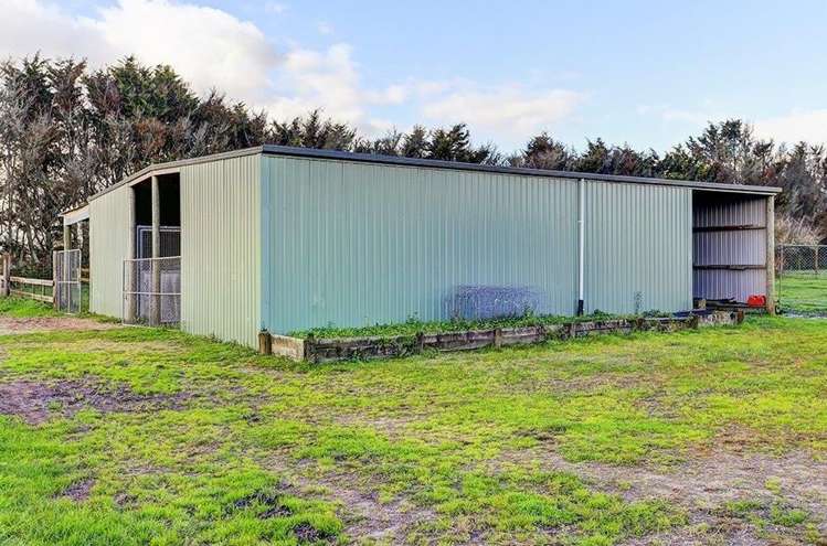 225 Limmer Road Te Kowhai_5