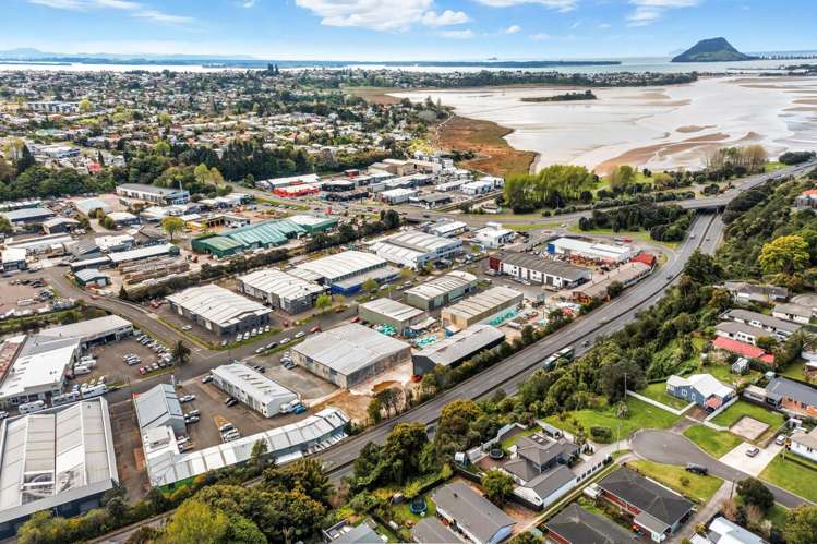 30-32 Koromiko Street & 8 Erica Street Judea_10