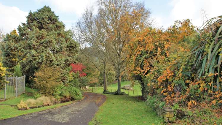 4501 State Highway 4 Waimiha-Ongarue_2