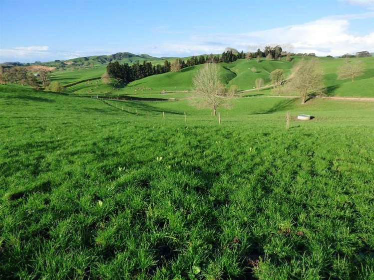 203/219 Paewhenua Road Maihiihi_2