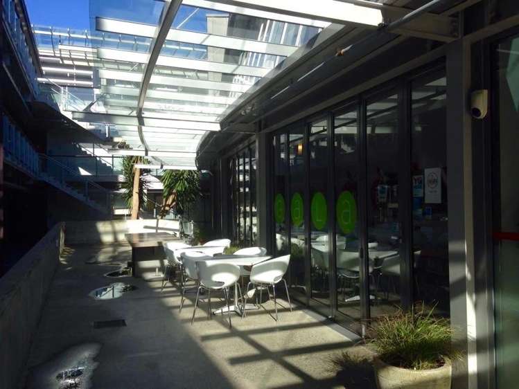 213/23 Edwin Street Mount Eden_8