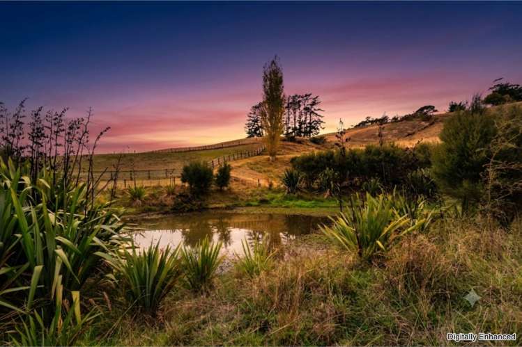 8 Pinestead Reach_0