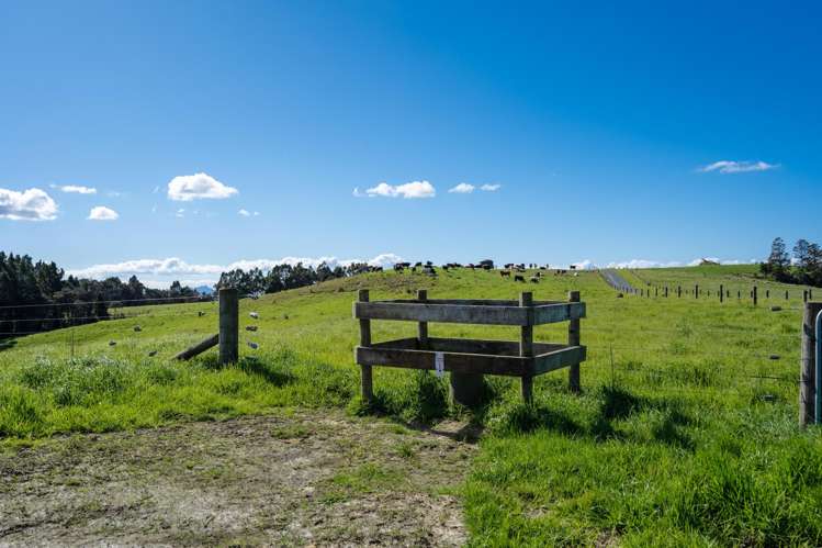 Lot 6 Shieling Road Waipu_17